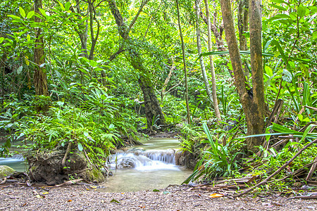 艾拉旺坠落风景旅游植物丛林热带溪流天堂国家瀑布公园图片