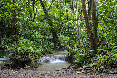 艾拉旺坠落溪流岩石异国环境远足瀑布公园森林风景热带图片