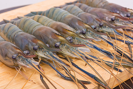 生老虎新鲜虾白色桌子宏观甲壳餐厅动物食物贝类小龙虾市场图片