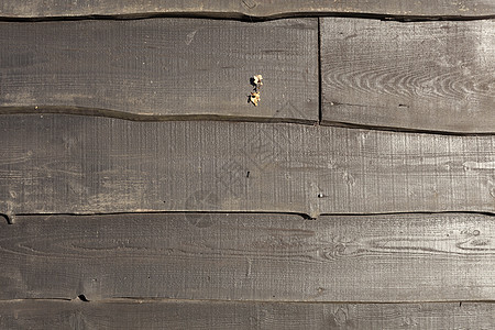 木旧木板复古纹理背景 纹理背景木工家具木头地面框架桌子松树控制板墙纸栅栏图片