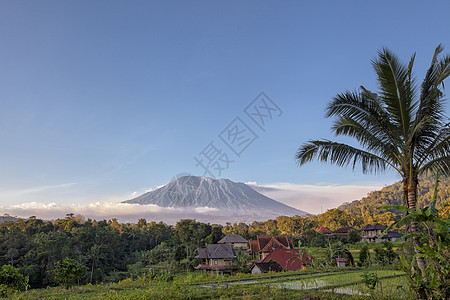 以阿贡山为背景的稻米梯田 印度尼西亚巴厘图片