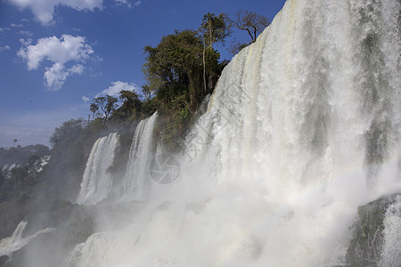 iguazu陷落国家公园 热带瀑布和雨林图片