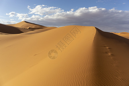 撒哈拉沙漠中美丽的沙丘Morocc图片