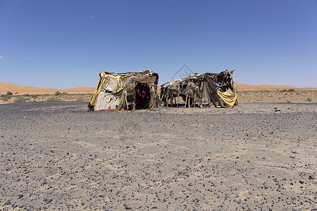摩洛哥沙漠中的贝都因人帐篷图片