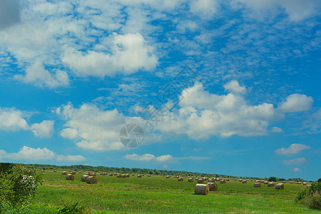 带干草面包的风景全景收成稻草农场小麦场地农田草地圆圈牧场玉米图片