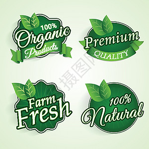 有机产品或标签设计食物商业店铺收藏徽章网络刻字邮票生物餐厅图片