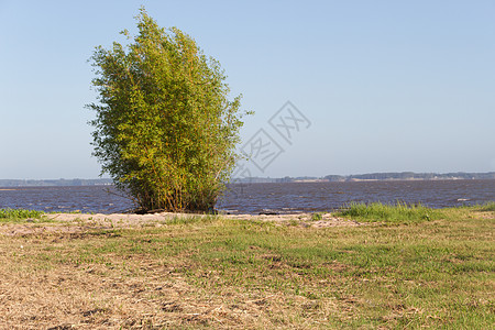 联邦直辖州里奥斯罗根蒂纳市河岸的夏季风景阿根廷旅行联邦天空城市太阳森林反射女士绿色白色图片