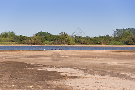 联邦直辖州里奥斯罗根蒂纳市河岸的夏季风景阿根廷联邦树木反射旅行蓝色太阳阳光天空绿色旅游图片