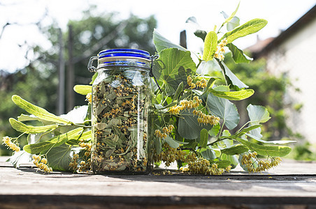 装有椴树花的罐子植物食物药品黄色草本桌子白色玻璃花朵叶子图片
