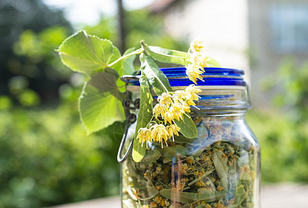 装有椴树花的罐子绿色药品草本黄色叶子花朵草本植物食物植物玻璃图片