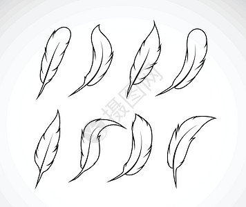 向量组的白色背景上的羽毛 简单的可编辑图层墨水插图寓言翅膀团体航班动物绘画鹅毛笔艺术图片