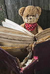 儿童带书的泰迪熊闲暇动物棕色女孩乐趣玩具童年孩子学习阅读背景图片
