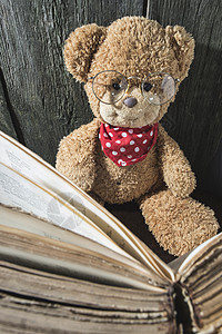 儿童带书的泰迪熊图书女孩玩具学习阅读微笑眼镜教育棕色乐趣背景图片