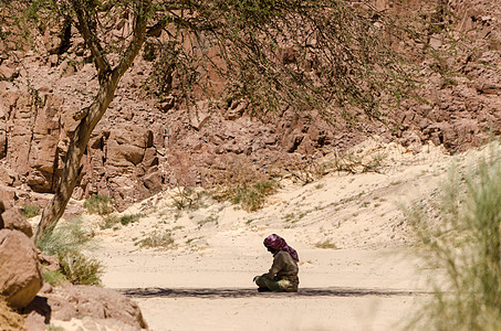 贝都因人祈祷坐在沙子上 在树荫下植物民族衣服岩石男人阴影季节沙滩石头服饰图片