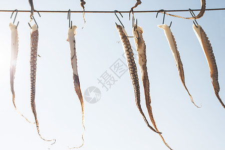 绳索上的八爪鱼空气章鱼太阳触手动物海鲜乌贼餐厅团体旅行图片