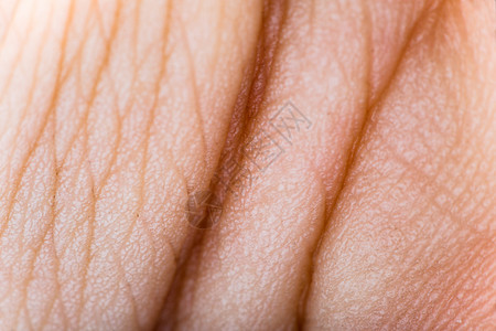 特写人体皮肤 宏观表皮药品毛孔身体粉色皮炎皱纹男性皮肤科肤色生物学图片