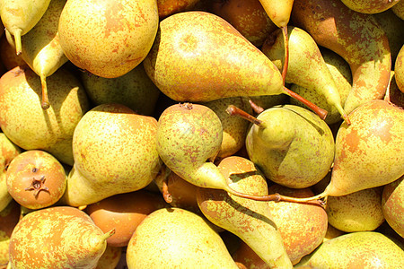 多好吃的梨子市场收获水果食物维生素收成梨树图片