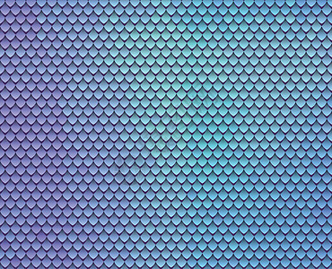 抽象规模模式 屋顶瓦片背景 彩色鳞片纹理马赛克艺术插图皮肤紫色海浪动物羽毛纺织品装饰品图片