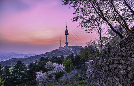 春月的黄昏首尔塔 在韩国南部樱花城市季节建筑学建筑商业天空旅行景观天际图片