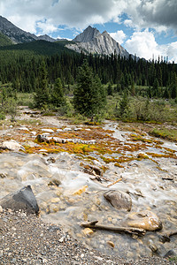 加拿大艾伯塔省班夫国家公园Banff 国家公园鲍瓦山谷公园道爬坡岩石森林旅行山脉环境目的地旅游风景远足图片
