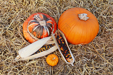 秋天土耳其圆丘和南瓜 带有装饰性玉米鳕图片