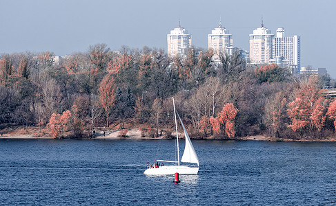 海岸和C的背面有白色帆船游艇植物游客旅行房子游泳城市建筑旅游海滩摩天大楼图片