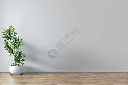 屏幕空房间内部 3d 渲染家具木地板地面公寓窗户休息室木头植物白色插图图片
