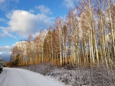 看见一条被雪覆盖的公路和一座寒冬森林对蓝天的景象图片