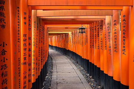 日本京都神社的托里路文化旅游隧道宗教历史建筑学地标精神人行道旅行图片