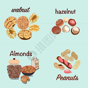 矢量手绘五颜六色的坚果图片