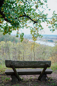 秋天公园的座椅 秋季风景 观察点橙子闲暇活动生活树干森林小路叶子植物花园图片