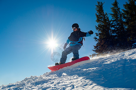 滑雪运动员在太阳尼日登上山峰的雪板 滑雪和冬季运动森林晴天头盔乐趣单板娱乐速度季节太阳行动图片