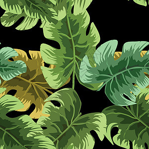 热带树叶图案 绿叶龟背竹无缝 花卉图案的艺术拼贴画插图打印艺术品装饰森林情调绿色异国植物群棕榈图片