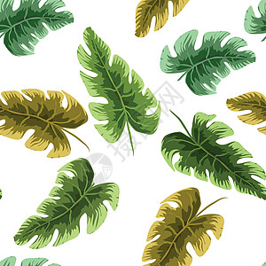 热带树叶图案 绿叶龟背竹无缝 花卉图案的艺术拼贴画异国插图森林风格艺术品情调绿色打印装饰棕榈图片