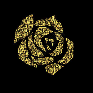 黑色背景上美丽的多点花雏菊装饰品花瓣艺术模版插图翠菊玫瑰叶子风格图片