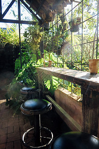 带有花园风观的酒吧柜台和椅子木头餐厅植物家具摄影气候装饰金属桌子咖啡店图片