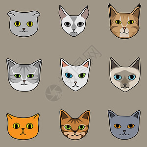 米色背景上九种可爱卡通风格的猫图片
