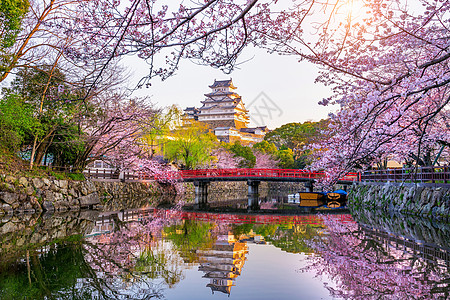 日本大阪樱花樱花和城堡 在日本冰地遗产建筑学地标节日季节建筑花园世界历史文化背景