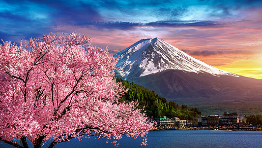 日本春天的藤山和樱花盛开公吨游客季节全景天空日落地标风景天际火山图片