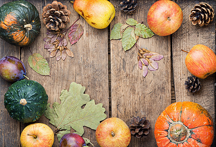 秋季收成仍然活生生食物葫芦南瓜落叶桌子叶子核桃季节蔬菜乡村图片
