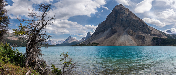 加拿大艾伯塔Banff国家公园 加拿大爱伯塔州风景山峰旅游荒野植物目的地森林城市顶峰农村图片