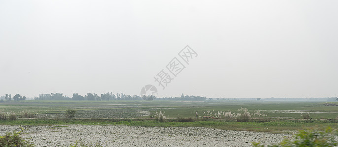 具有农田和农田的印度乡村模型的地平线景观 印度旅游旅游背景 阿萨姆印度东北部 南亚太平洋地区图片