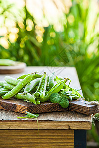 木制桌上的豆子中的绿豆小吃植物食物圆圈桌子蔬菜豆类团体叶子花园图片