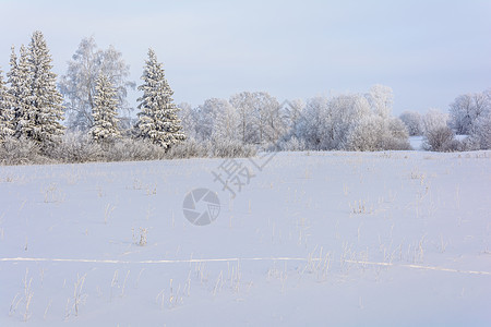 冬季大自然的美丽天空木头场地天气蓝色荒野地平线雪堆季节环境图片