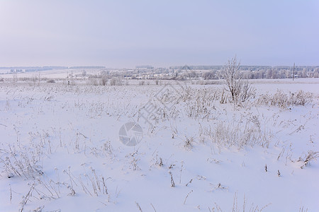 冬季大自然的美丽森林农村衬套房子植物雪堆旅游天气小屋场地图片