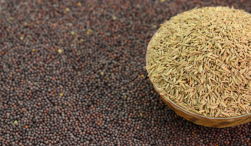 褐芥末和孜然籽芸苔香料粮食美食草本植物调味品芳香植物团体香气图片