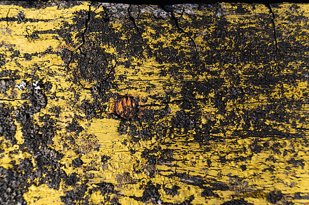 黄色木纹旧黄色木栅栏的一部分 木头上的黄色油漆又旧又裂 完美的彩绘木纹乡村硬木栅栏控制板地面木材风化裂缝材料老化背景