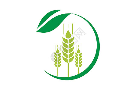 小麦矢量农业小麦标志模板矢量图标设计谷物面包植物营养粮食农场食物玉米收成种子设计图片
