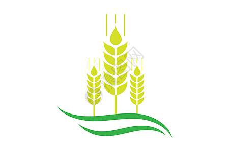 农业小麦标志模板矢量图标设计生长营养谷物面包燕麦收成食物农场玉米粮食图片