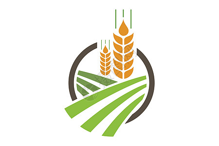 农业小麦标志模板矢量图标设计食物粮食标签营养谷物生长收成场地燕麦耳朵图片